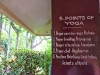 The 5 points of Yoga