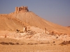 palmyra-3