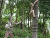 khmerstatues-1