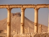palmyra-3