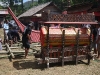 toraja-2