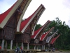 toraja-6